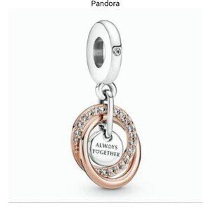 Pandora Family Always Encircled Dangle Charm
